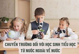 Hồ Sơ Chuyển Trường Cấp Tiểu Học Sinh Tiểu Học