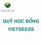 Học Bổng Vietseeds 2022 Là Gì Học Bạ Điện Tử