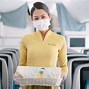 Vé Phổ Thông Siêu Tiết Kiệm Của Vietnam Airlines Có Hành Lý Ký Gửi Không